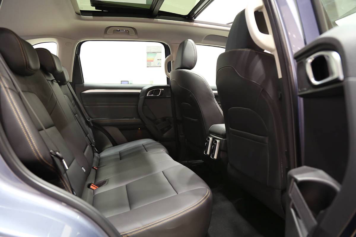 هافال دارغو 2022