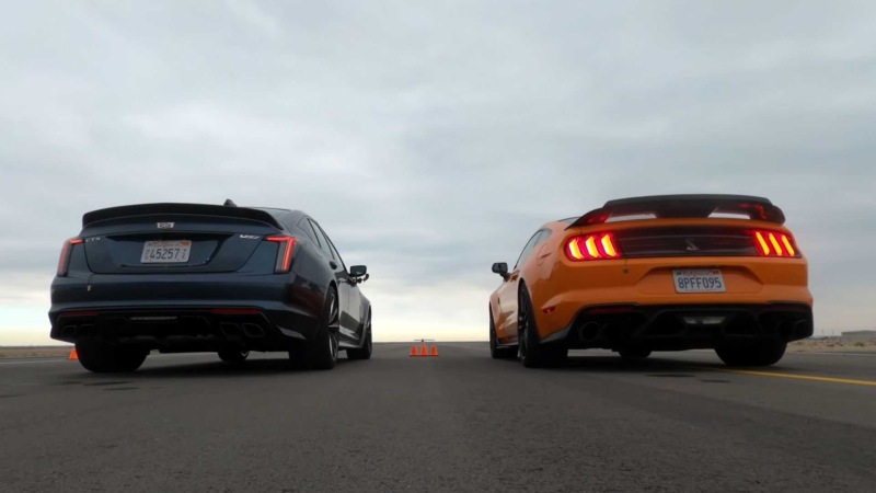 سباق دراق عضلات امريكية خارجي