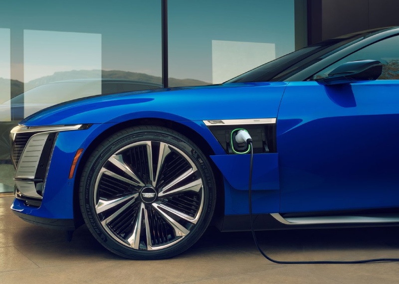 سيليستيك شحن