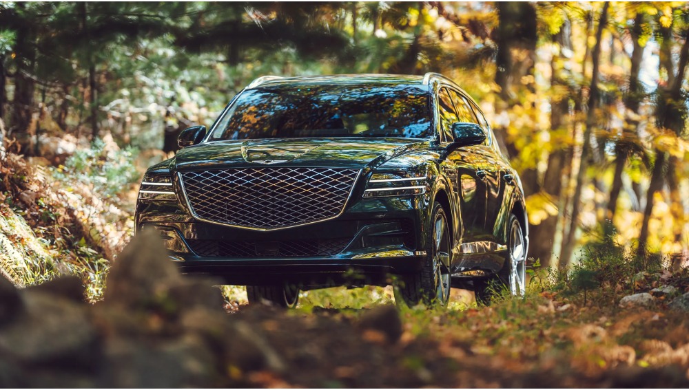 جينيسيس جي في 80