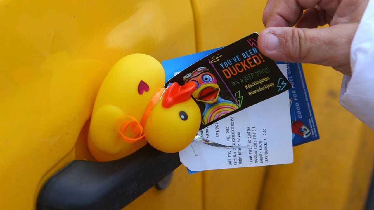 بطة على باب جيب