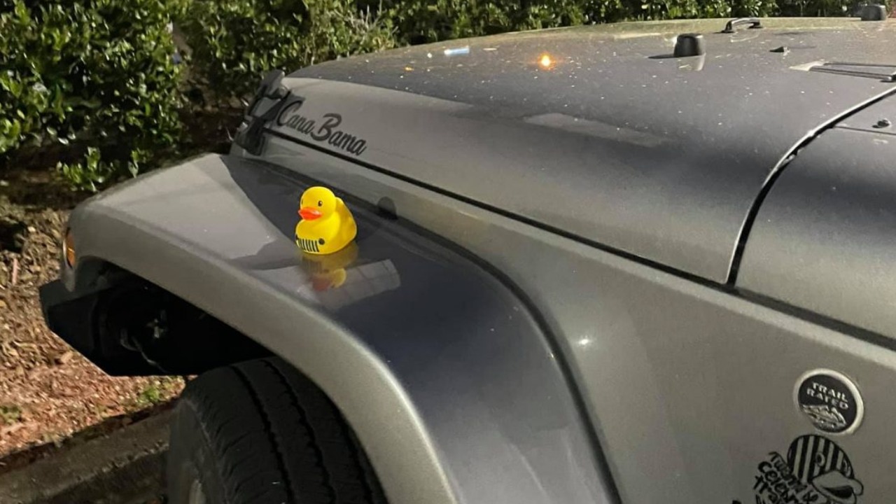 بطة على جيب رانجلر