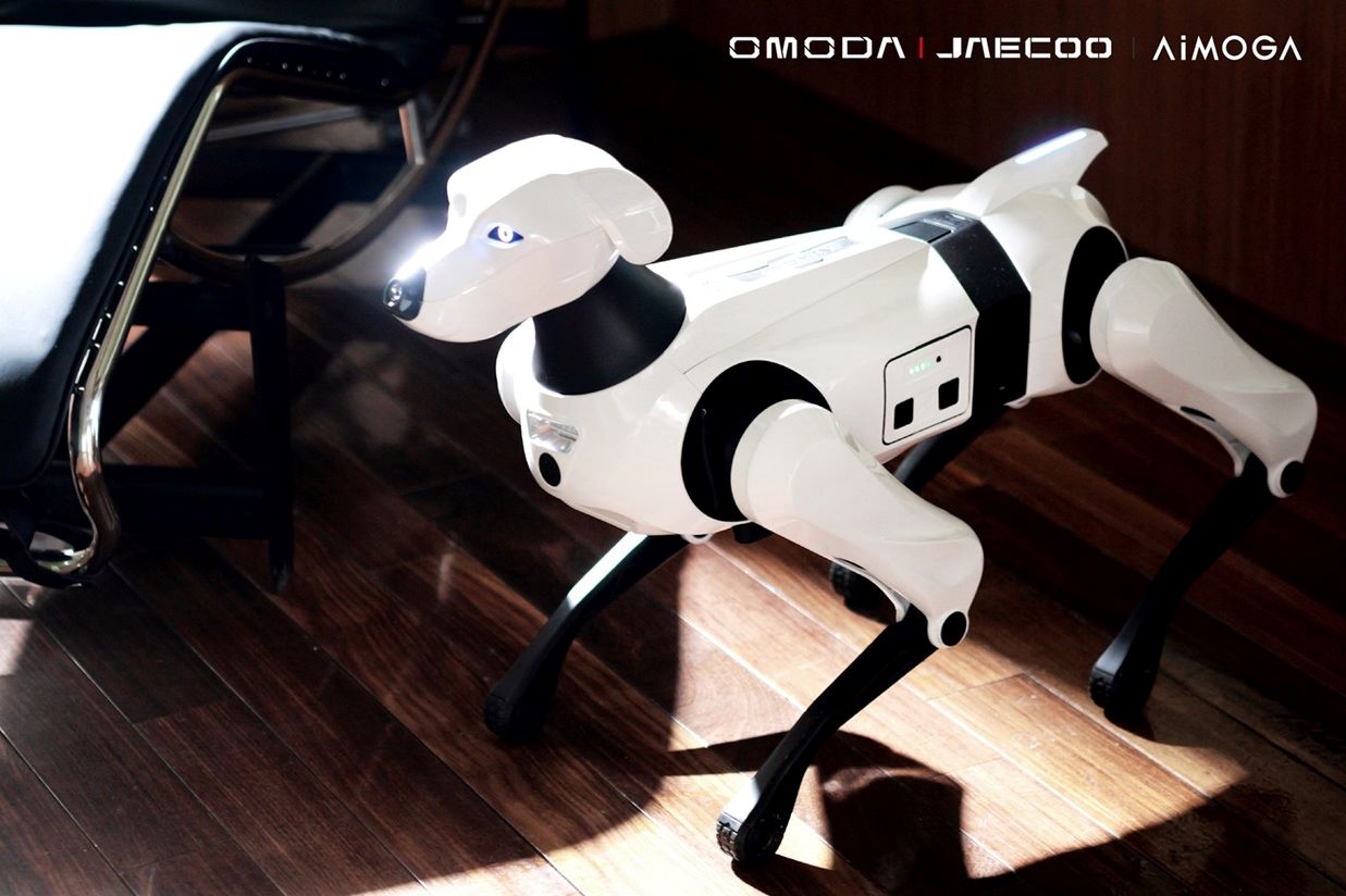 أومودا وجايكو