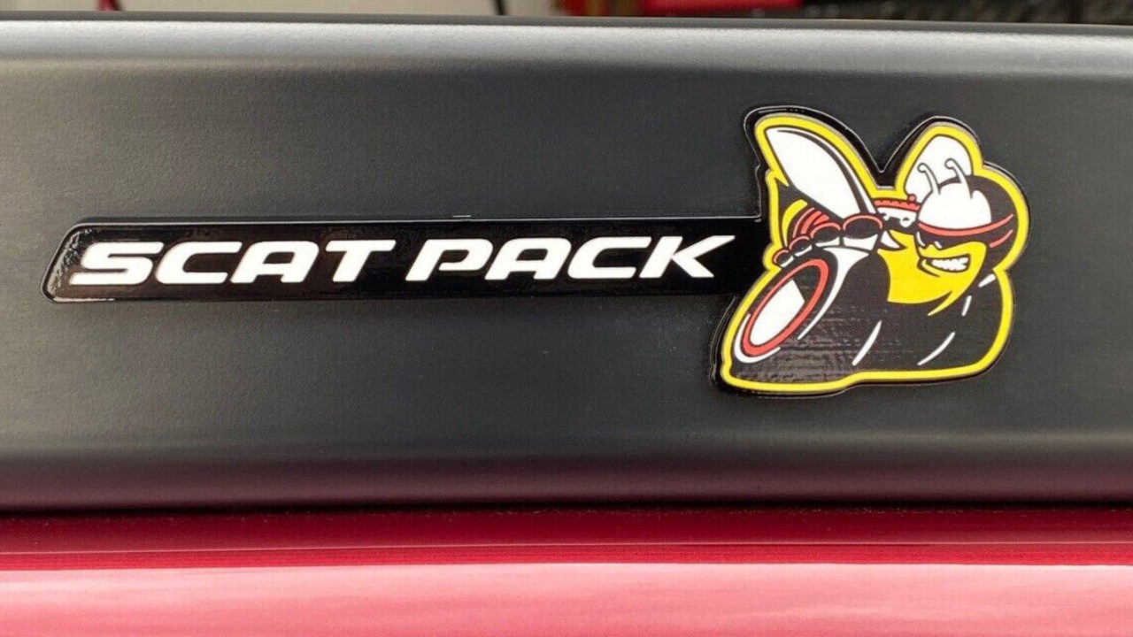 شارة سكات باك