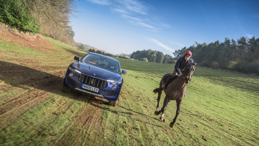 maserati levante versus horse (1)