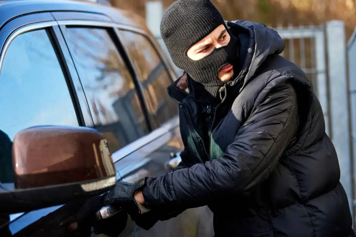 سرقة سيارات