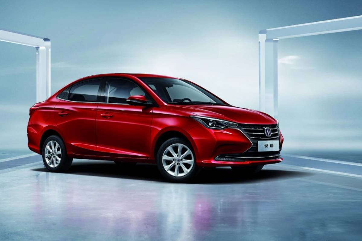 شانجان السفين 2025