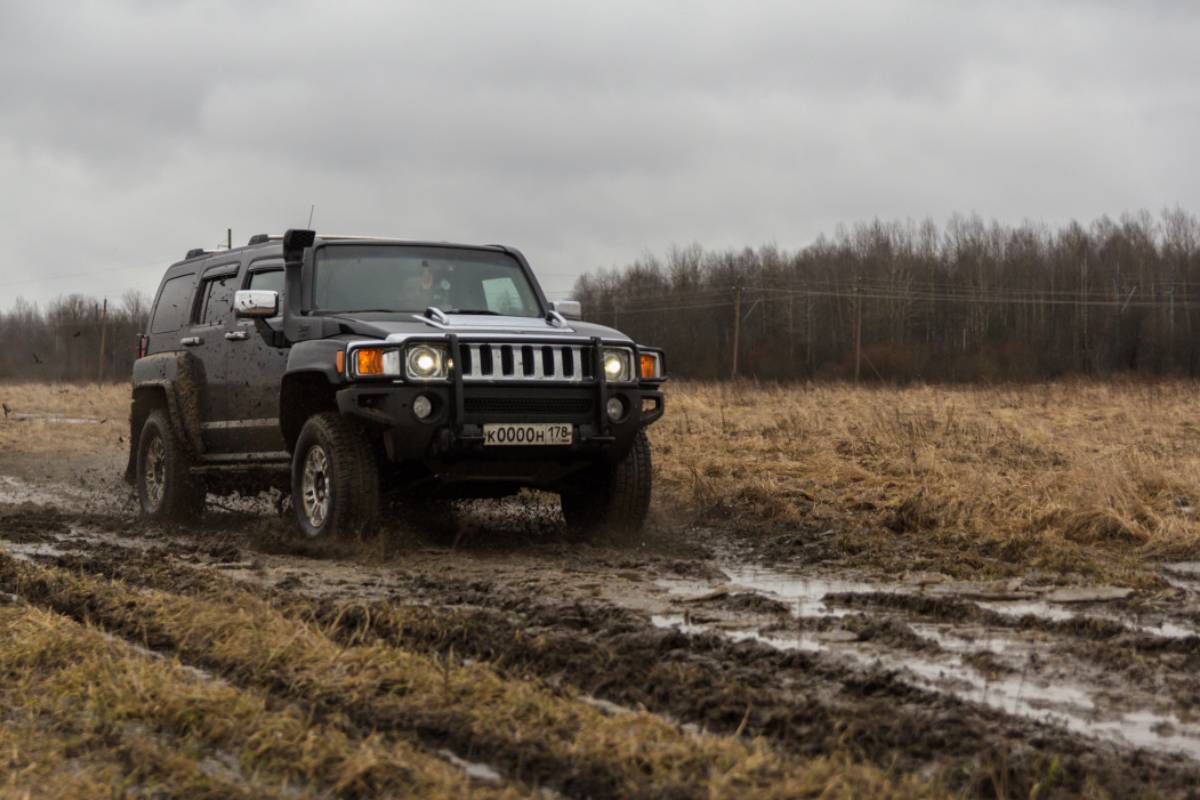 سيارات المشاهير