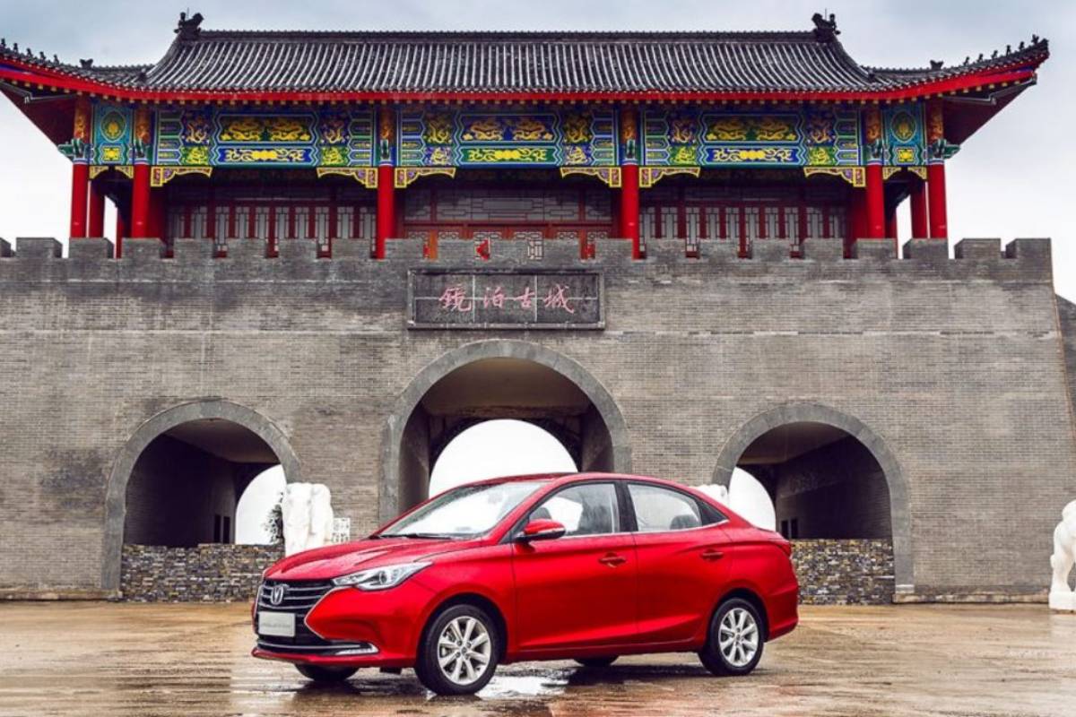 شانجان السفين 2025