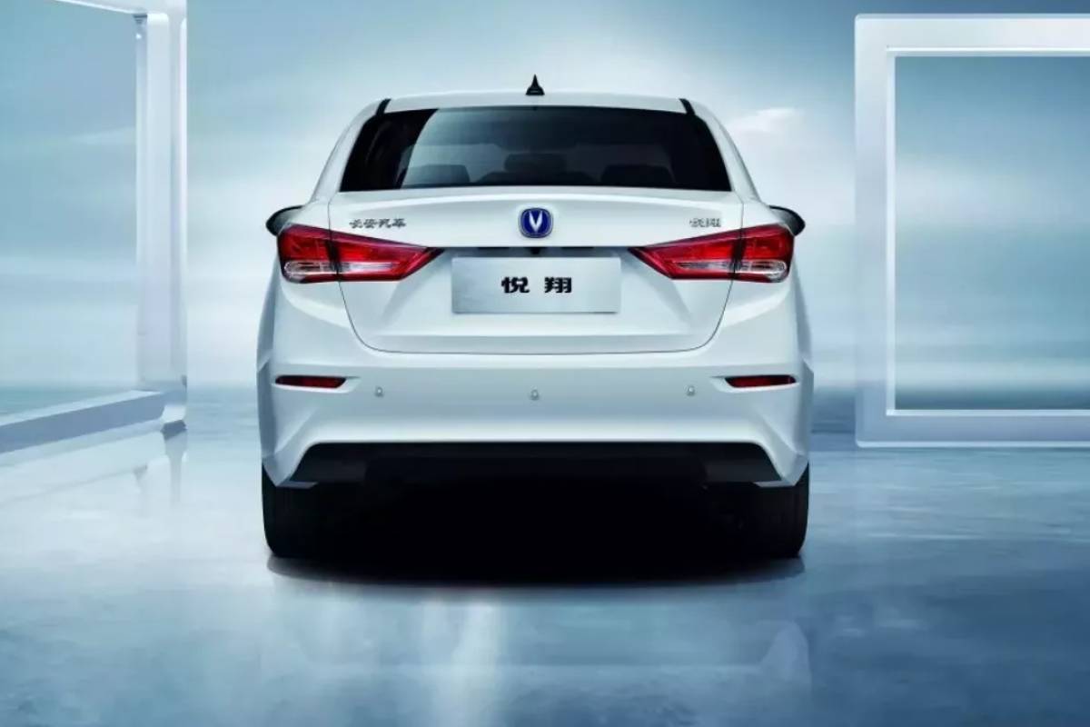 شانجان السفين 2025