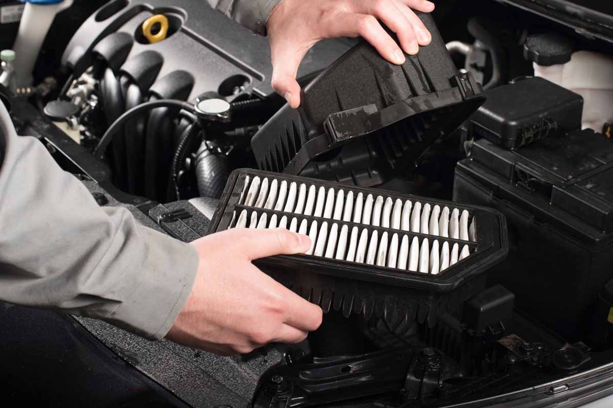 فلتر المقصورة