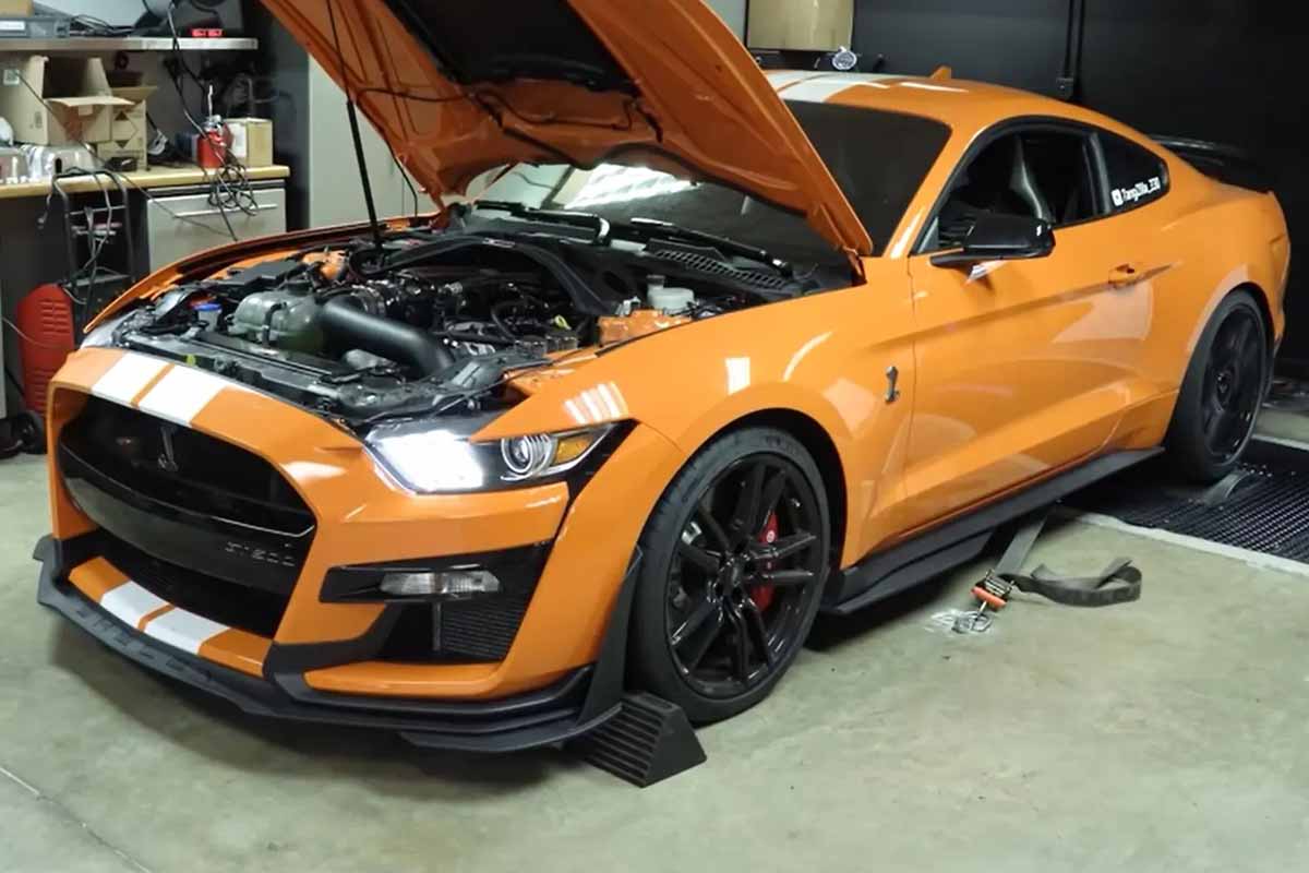 موستانج الوحش