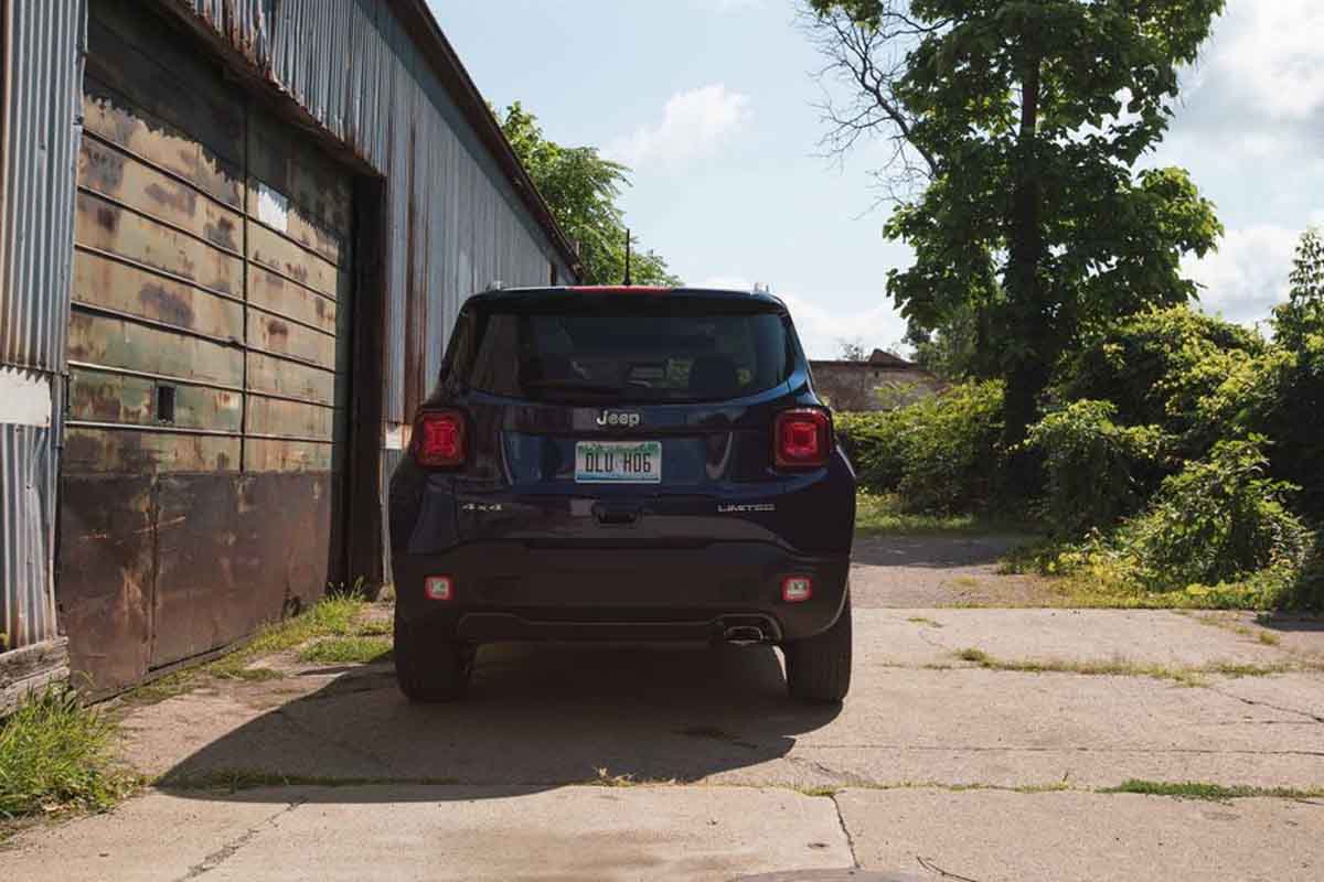 جيب رينيجيد